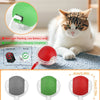 Interactive Rolling Cat Ball Toy