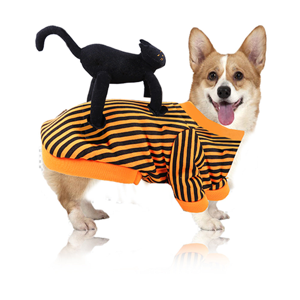Pet Costume