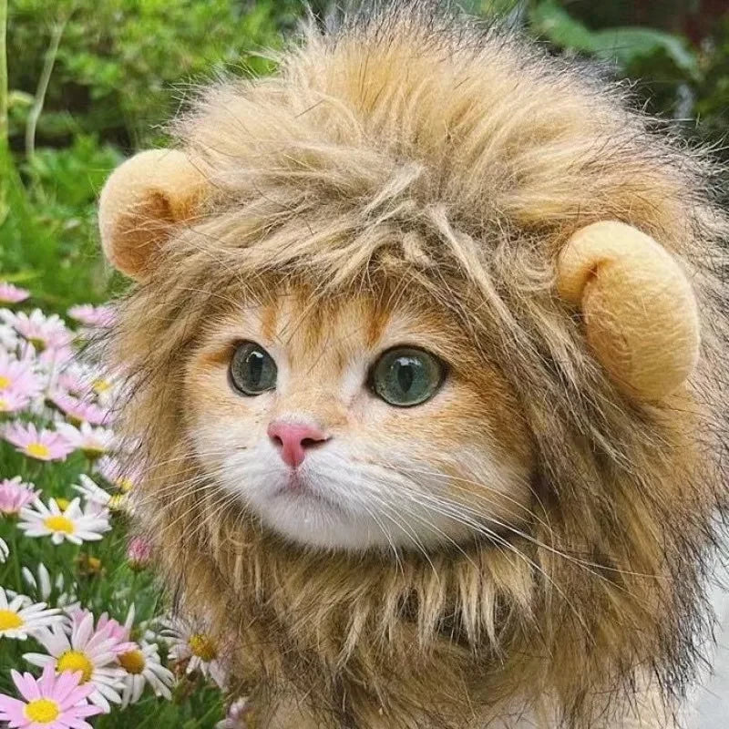 Lion Mane Cat Costume