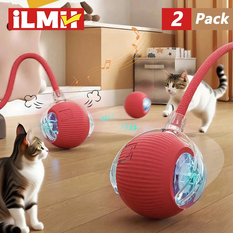 Interactive Rolling Cat Ball Toy