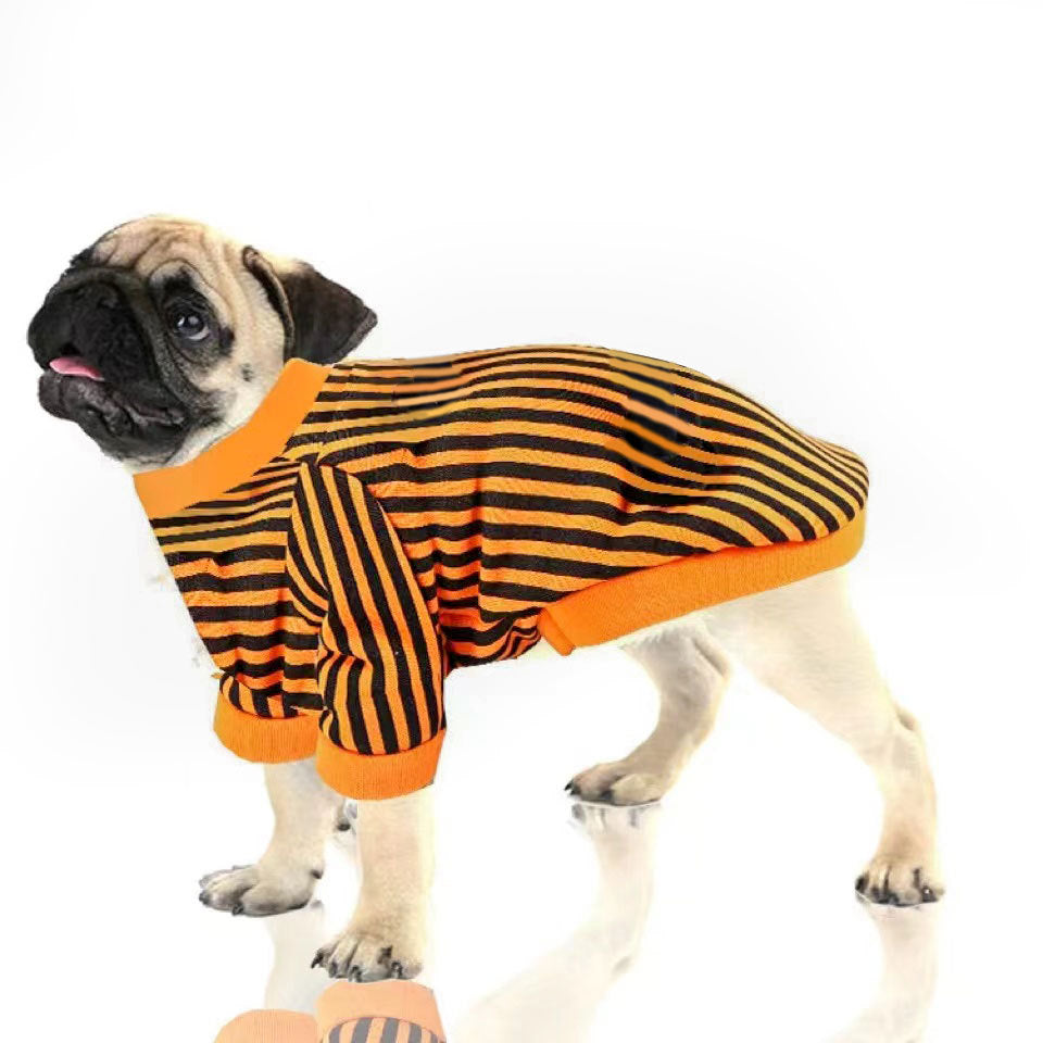 Pet Costume