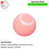 Interactive Rolling Cat Ball Toy