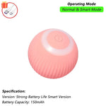 Interactive Rolling Cat Ball Toy