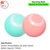 Interactive Rolling Cat Ball Toy