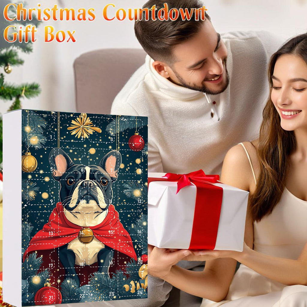 Pet dog arrives in the holiday calendar box