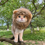 Lion Mane Cat Costume