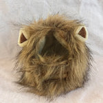 Lion Mane Cat Costume