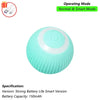 Interactive Rolling Cat Ball Toy