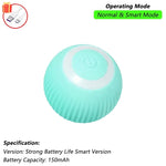 Interactive Rolling Cat Ball Toy