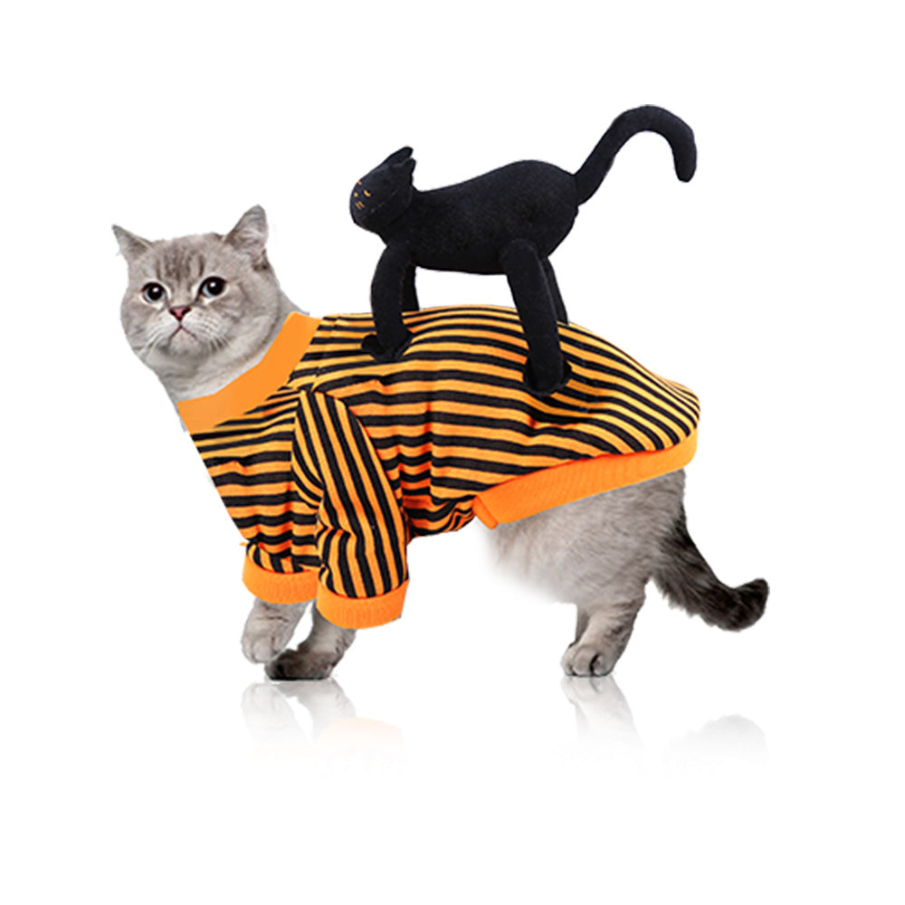 Pet Costume