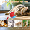 Interactive Rolling Cat Ball Toy