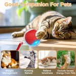 Interactive Rolling Cat Ball Toy