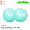 Interactive Rolling Cat Ball Toy