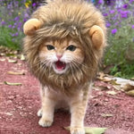 Lion Mane Cat Costume