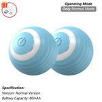 Interactive Rolling Cat Ball Toy