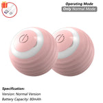 Interactive Rolling Cat Ball Toy